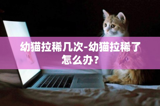 幼貓拉稀幾次-幼貓拉稀了怎么辦？