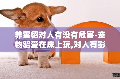 養雪貂對人有沒有危害-寵物貂愛在床上玩,對人有影響嗎？