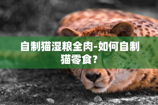 自制貓濕糧全肉-如何自制貓零食？