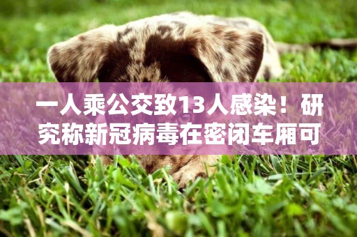 一人乘公交致13人感染！研究稱新冠病毒在密閉車廂可傳4.5米，存活至少30分鐘 