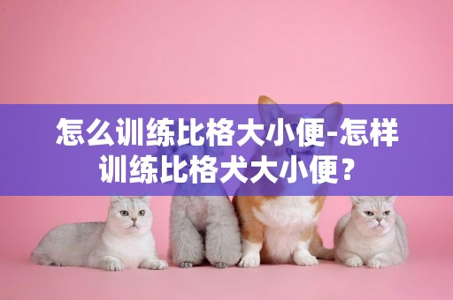 怎么訓練比格大小便-怎樣訓練比格犬大小便？