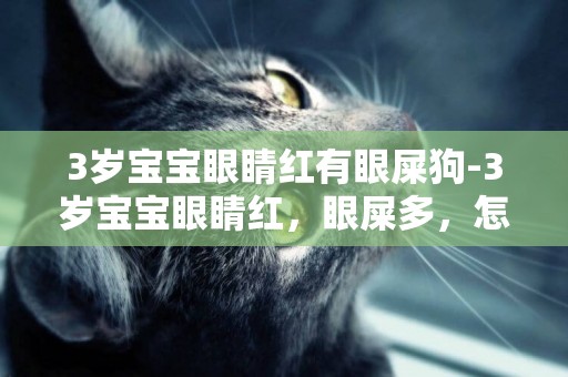 3歲寶寶眼睛紅有眼屎狗-3歲寶寶眼睛紅，眼屎多，怎么辦