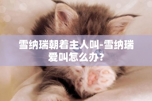 雪納瑞朝著主人叫-雪納瑞愛叫怎么辦？
