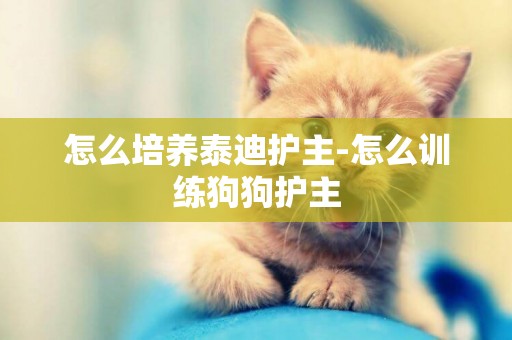 怎么培養泰迪護主-怎么訓練狗狗護主