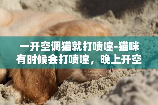 一開空調貓就打噴嚏-貓咪有時候會打噴嚏，晚上開空調鼻子是干的？