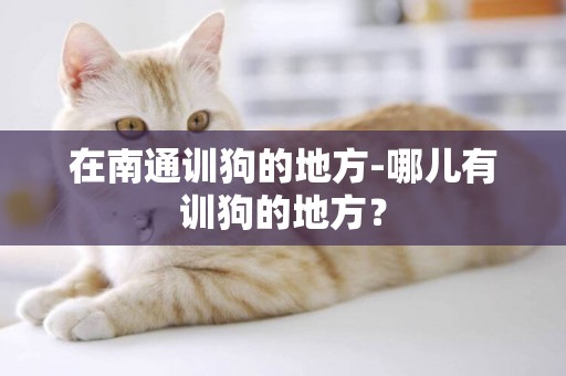 在南通訓狗的地方-哪兒有訓狗的地方？