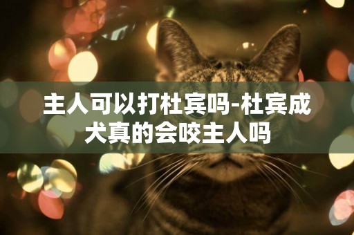 主人可以打杜賓嗎-杜賓成犬真的會咬主人嗎