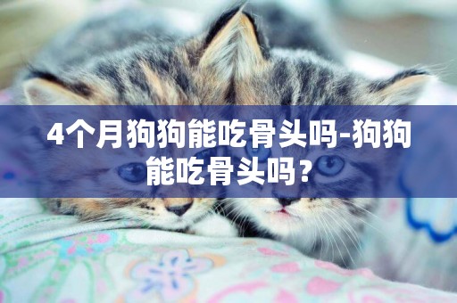 4個月狗狗能吃骨頭嗎-狗狗能吃骨頭嗎？