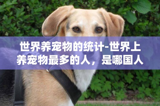世界養寵物的統計-世界上養寵物最多的人，是哪國人？
