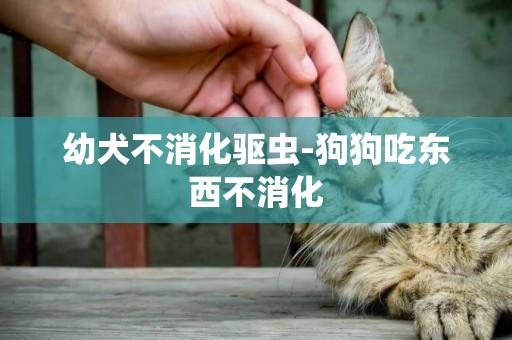 幼犬不消化驅蟲-狗狗吃東西不消化