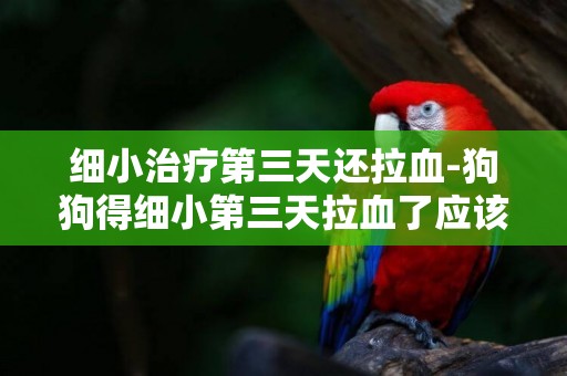 細小治療第三天還拉血-狗狗得細小第三天拉血了應該吃什么藥