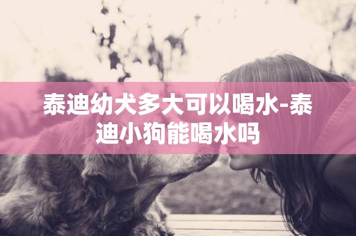 泰迪幼犬多大可以喝水-泰迪小狗能喝水嗎