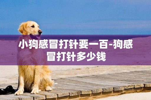 小狗感冒打針要一百-狗感冒打針多少錢