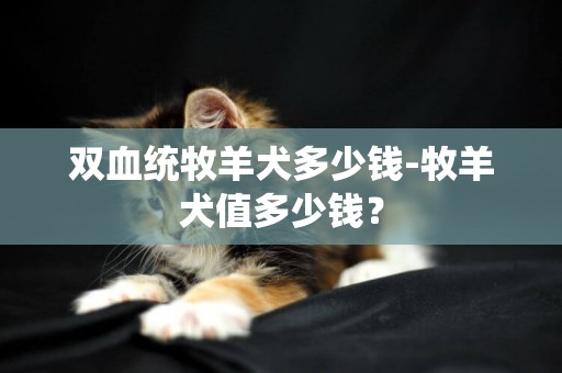 雙血統牧羊犬多少錢-牧羊犬值多少錢？