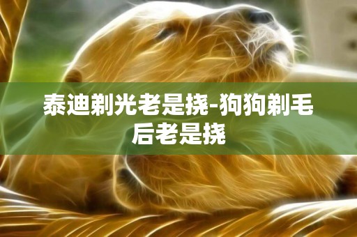 泰迪剃光老是撓-狗狗剃毛后老是撓