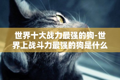 世界十大戰力最強的狗-世界上戰斗力最強的狗是什么