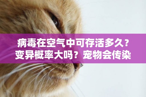 病毒在空氣中可存活多久？變異概率大嗎？寵物會傳染嗎？湖北這場發布會權威解釋 