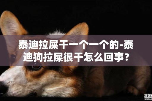 泰迪拉屎干一個一個的-泰迪狗拉屎很干怎么回事？