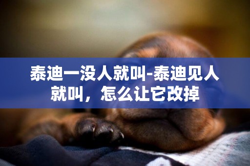 泰迪一沒人就叫-泰迪見人就叫，怎么讓它改掉