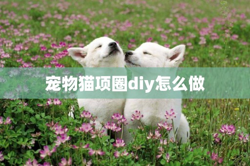 寵物貓項圈diy怎么做