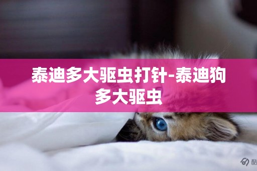 泰迪多大驅蟲打針-泰迪狗多大驅蟲