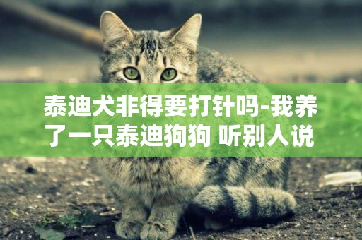 泰迪犬非得要打針嗎-我養了一只泰迪狗狗 聽別人說 要幫狗狗打針什么的 還要打好幾針呢?