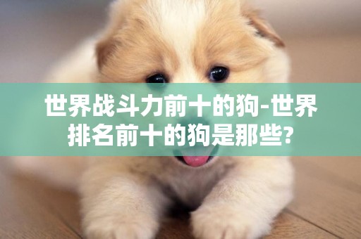 世界戰斗力前十的狗-世界排名前十的狗是那些?
