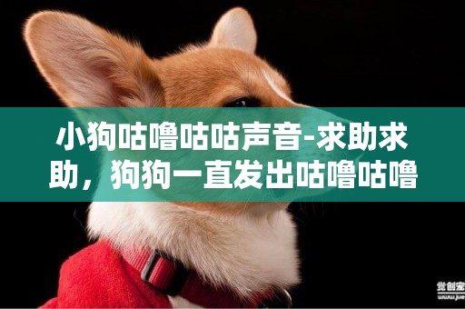 小狗咕嚕咕咕聲音-求助求助，狗狗一直發出咕嚕咕嚕的聲音，就是不