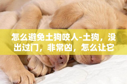 怎么避免土狗咬人-土狗，沒出過門，非常兇，怎么讓它出門不咬人。