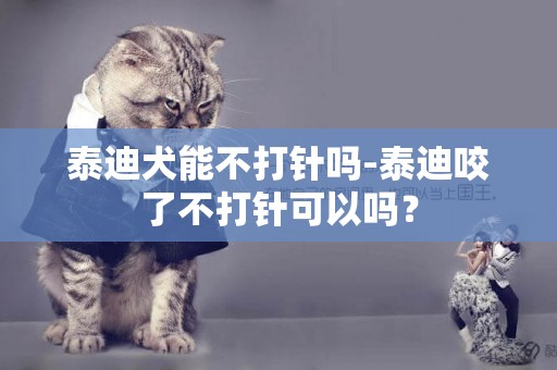 泰迪犬能不打針嗎-泰迪咬了不打針可以嗎？