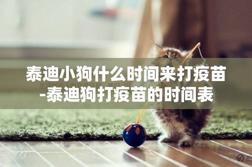 泰迪小狗什么時間來打疫苗-泰迪狗打疫苗的時間表