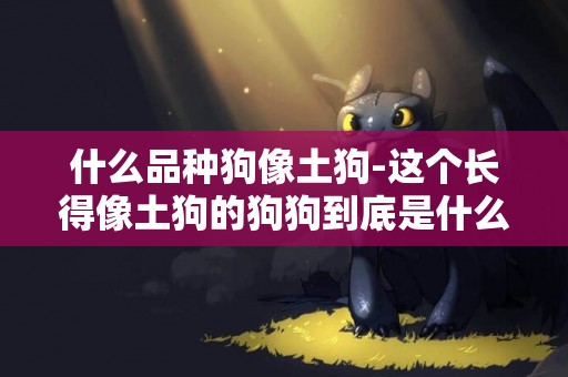 什么品種狗像土狗-這個長得像土狗的狗狗到底是什么狗？
