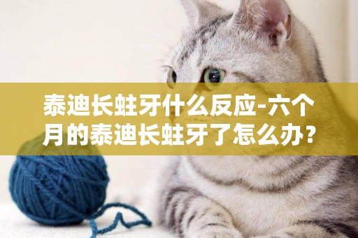 泰迪長蛀牙什么反應-六個月的泰迪長蛀牙了怎么辦？急！！！！！！復制粘貼不給分，求愛狗人士解答！