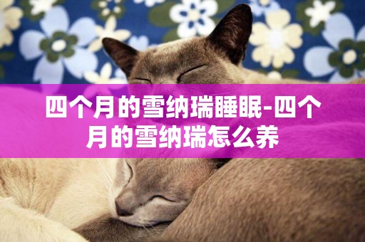 四個月的雪納瑞睡眠-四個月的雪納瑞怎么養