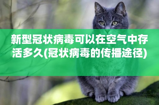 新型冠狀病毒可以在空氣中存活多久(冠狀病毒的傳播途徑) 