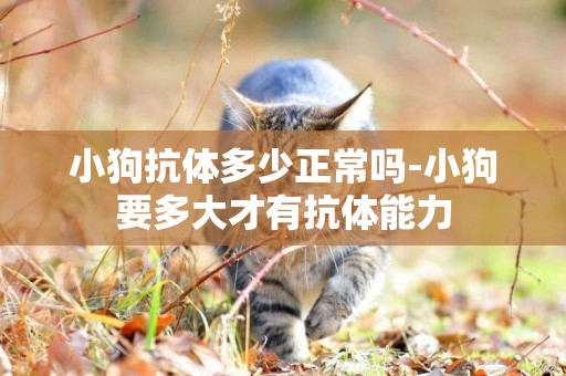 小狗抗體多少正常嗎-小狗要多大才有抗體能力