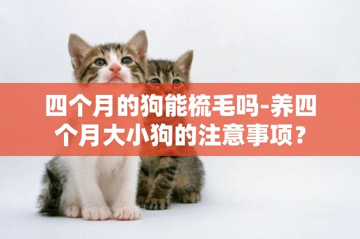 四個月的狗能梳毛嗎-養四個月大小狗的注意事項？
