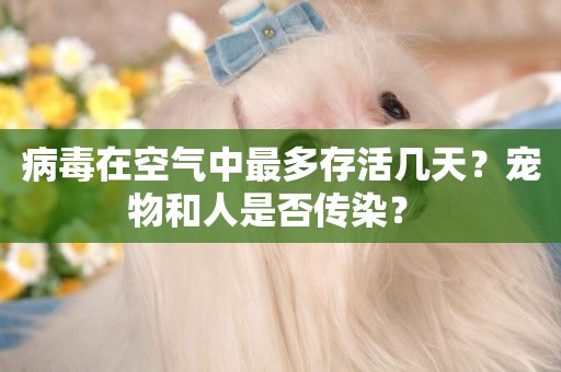 病毒在空氣中最多存活幾天？寵物和人是否傳染？ 