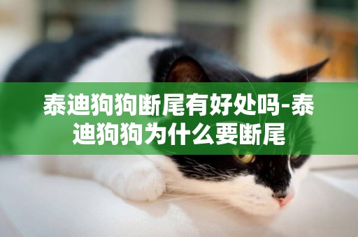 泰迪狗狗斷尾有好處嗎-泰迪狗狗為什么要斷尾