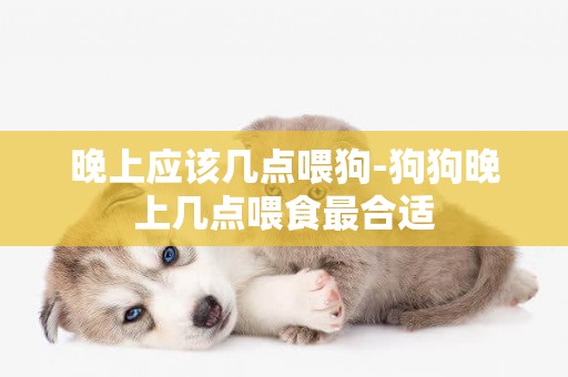 晚上應該幾點喂狗-狗狗晚上幾點喂食最合適