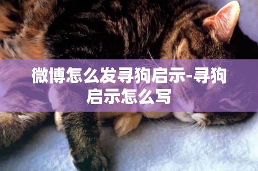 微博怎么發尋狗啟示-尋狗啟示怎么寫