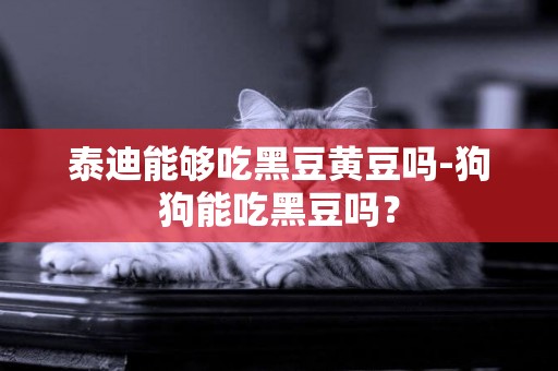泰迪能夠吃黑豆黃豆嗎-狗狗能吃黑豆嗎？