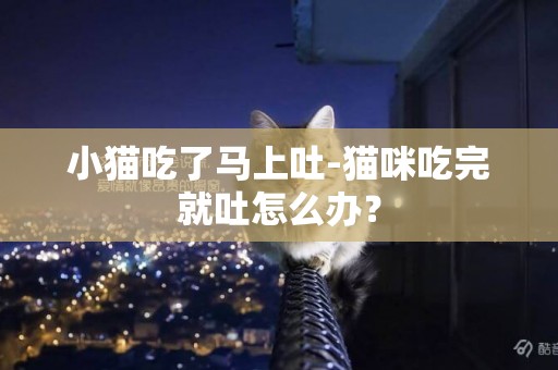 小貓吃了馬上吐-貓咪吃完就吐怎么辦？