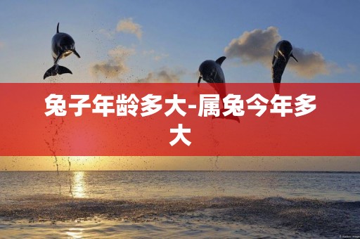 兔子年齡多大-屬兔今年多大