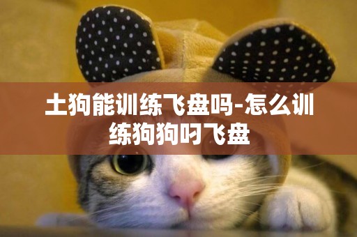 土狗能訓練飛盤嗎-怎么訓練狗狗叼飛盤
