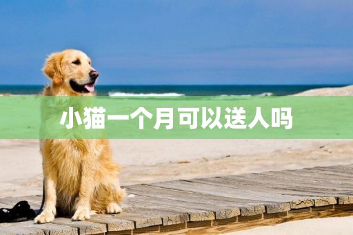 小貓一個月可以送人嗎