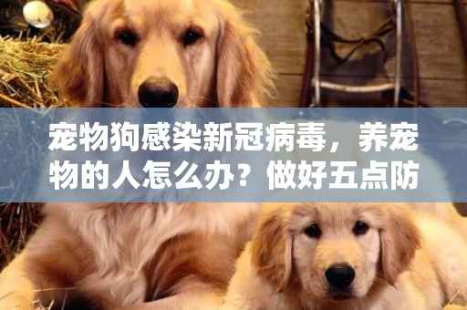 寵物狗感染新冠病毒，養寵物的人怎么辦？做好五點防護就可以了 
