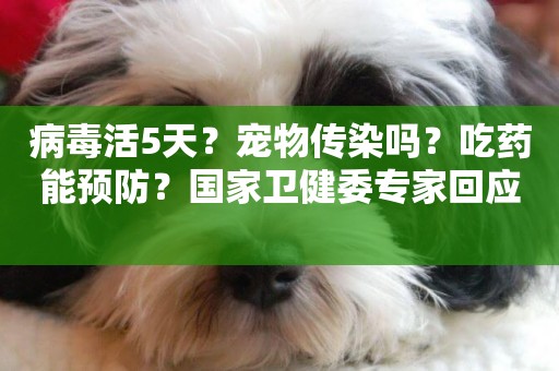 病毒活5天？寵物傳染嗎？吃藥能預防？國家衛健委專家回應 