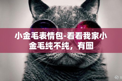 小金毛表情包-看看我家小金毛純不純，有圖
