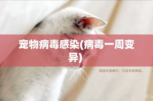 寵物病毒感染(病毒一周變異) 